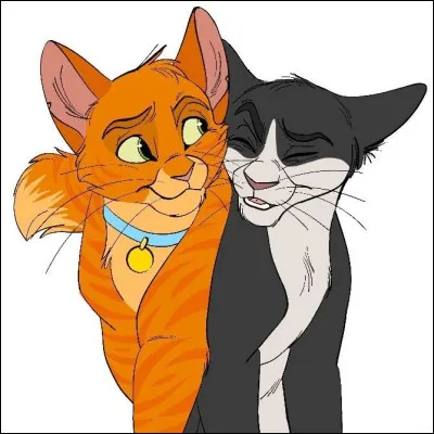 Qui est ce chat à droite ?