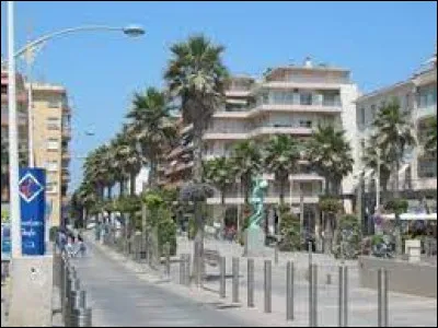 Cette ville côtière des Pyrénées-Orientales, peuplée de 12 000 habitants, c'est Canet en ...