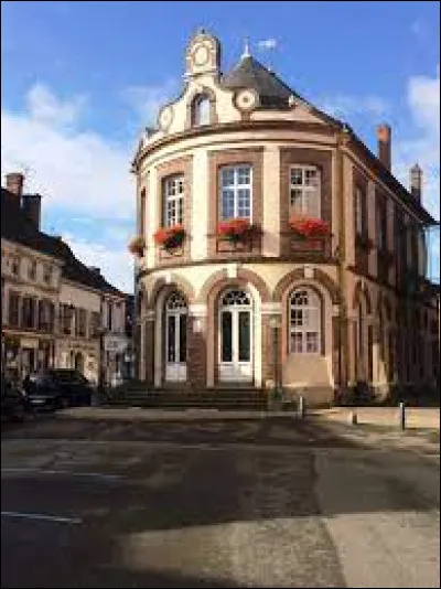 Cette petite ville de 2600 habitants du département d'Eure-et-Loir située aux limites du Perche et de la Beauce, c'est Châteauneuf en ...