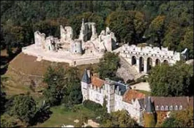 Cette petite ville de 2900 habitants du département de l'Aisne, connue pour son château fort du XIIIe siècle, c'est Fère en ...