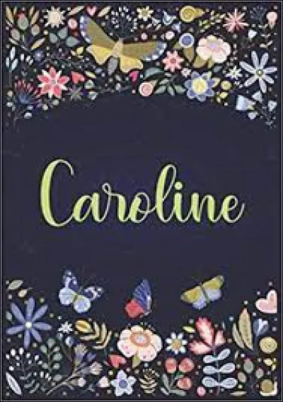 "Caroline" : Qui l'a chanté ?