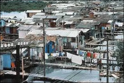 "Bidonville" : Qui l'a chanté ?