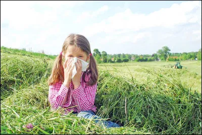 Atchoum ! Ah, le printemps et l'arrivée des beaux jours, c'est bien mais il y a quand même un gros inconvénient Le chat représenté par l'image est
