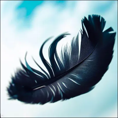 Qui peut être cette plume noire virevoltant au vent ?