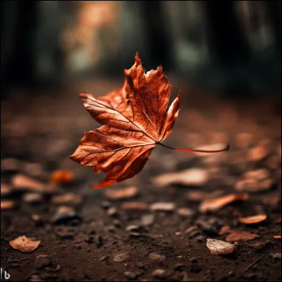 D'après l'image nous sommes en automne et, par conséquent, les feuilles tombent. J'aime beaucoup la couleur de celle-ci, on croirait voir