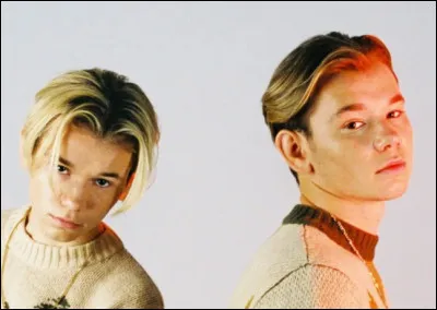 Dans quel pays sont-ils nés ?