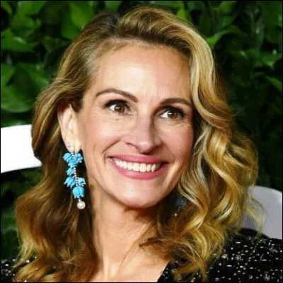 Dans quel film Julia Roberts se bat-elle contre une grosse société polluante ?