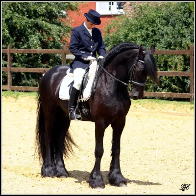 Que signifie "SLT" ?