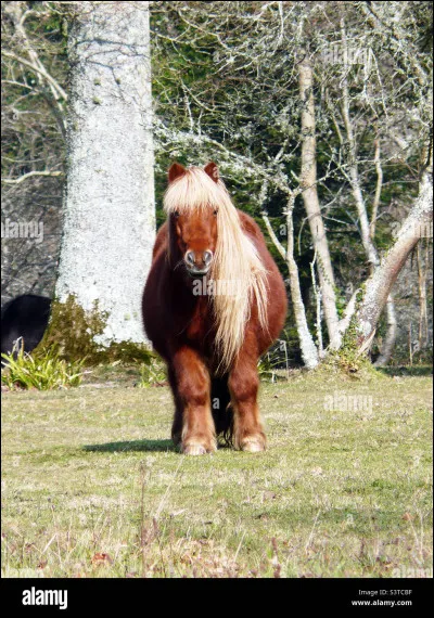 Que signifie "PSR" ?