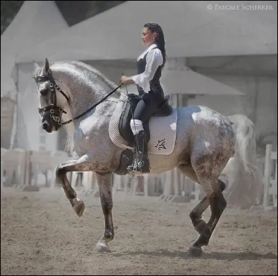 Que signifie "PRE" ?