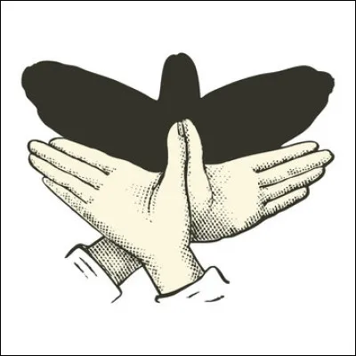 Qui peut bien être son ami ?