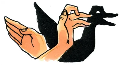 Ou avez-vous vu, ou entendu, cet animal ?