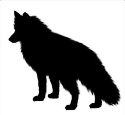 Vous en avez sûrement entendu parler !