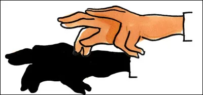 Ne traînez pas trop pour identifier cet animal, le connaissez-vous ?