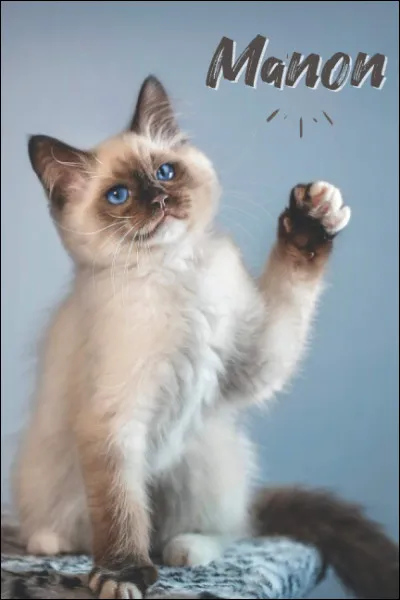 Par quelle lettre commence ton prénom ?