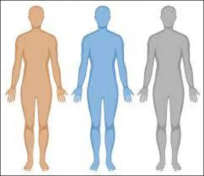 Quel est le pourcentage d'eau dans le corps humain ?