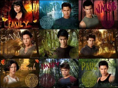 Apprécies-tu les loups-garous ?