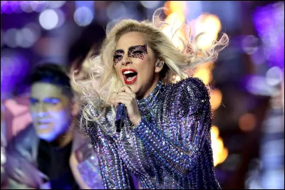 Comment Gaga a-t-elle appel&eacute; ses fans ?