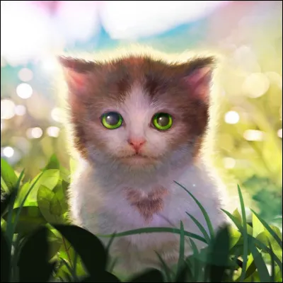 Quel animal as-tu chez toi ?