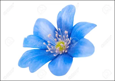 D�o&ugrave; viennent-ils ?