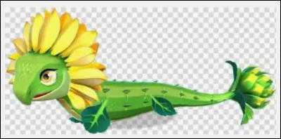 Quel est le nom de ce dragon ?