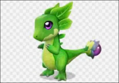 Quel est le nom de ce dragon ?