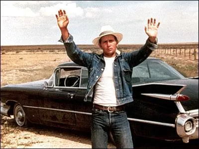 Dans son premier long mtrage, 'La Balade sauvage', quelle actrice accompagne Martin Sheen dans une quipe meurtire ?