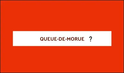 Qu'est-ce qu'une queue-de-morue ?