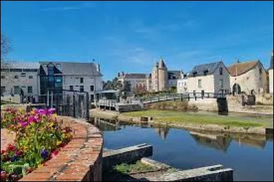 Cette petite ville de 2300 habitants, située dans le sud du département du Loir-et-Cher, près de Romorantin, c'est Pruniers en ...