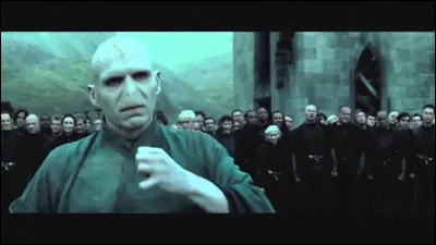 Dans un futur antérieur, Harry est mort.