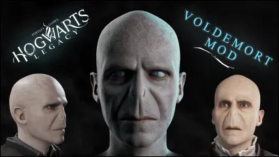 Voldemort a un enfant.