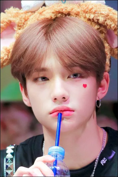 Quel est le vrai nom de Hyunjin ?