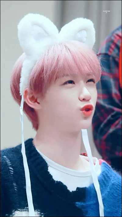 Qui est le membre né un jour avant Felix ?