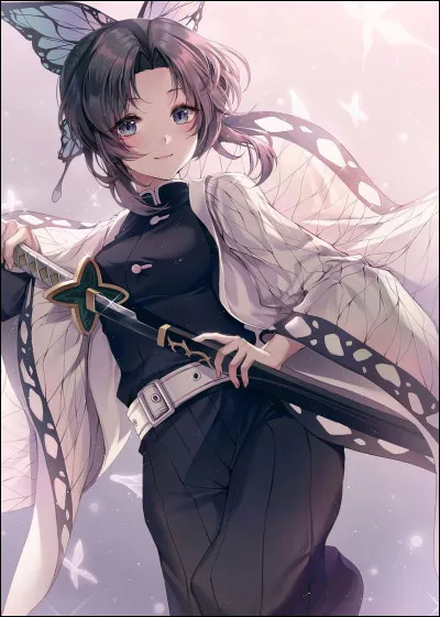 Finalement, tu as appelé des secours qui viennent d'arriver, tu rentres donc au Domaine des Papillons et Shinobu te propose un nouvel entrainement, que lui dis-tu ?