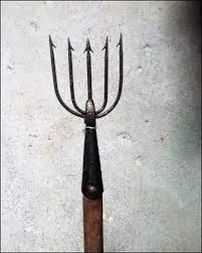 Pour une fois, fourrez votre nez partout, ça peut servir !