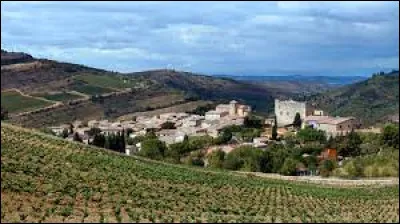 Nous sommes en Occitanie, à Roquetaillade-et-Conilhac. Village inclus dans l'aire d'attraction Limouxine, il se situe ...