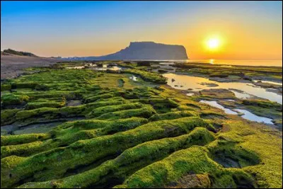 Quelle lettre fait le son [yae] ?