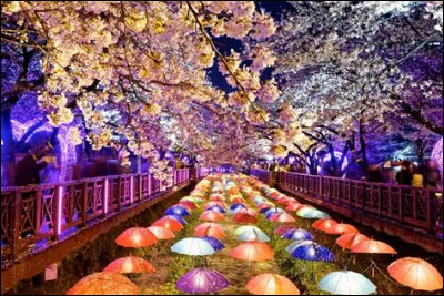 Quelle son fait la lettre ieung (이응) quand elle est placée devant une voyelle ?