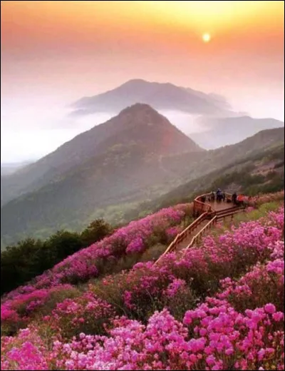 Quelle lettre fait le son [o] ?