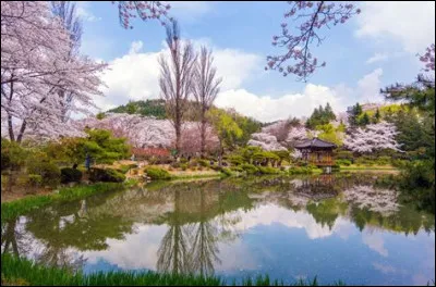 Quelle lettre fait le son [ae] (a-i) ?