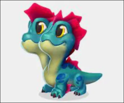 Quel est le nom de ce dragon ?