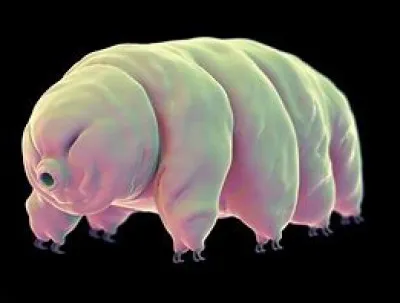 Pour commencer, est-ce que cet animal existe ?
