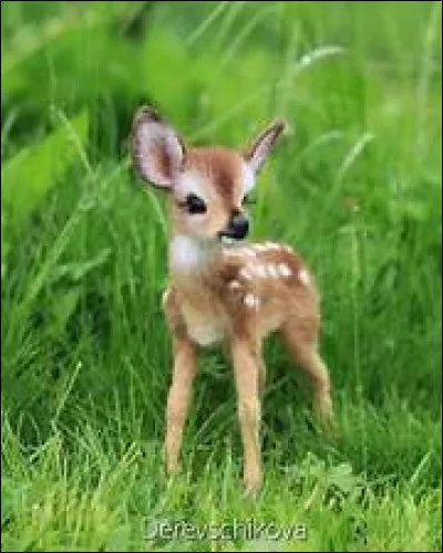 Est-ce que cet animal existe ?