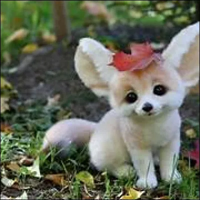 Est-ce que cet animal existe ?