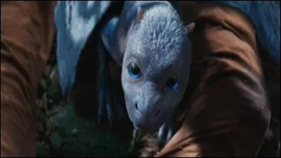 Quel âge avait Eragon quand il a trouvé l'œuf de Saphira ?