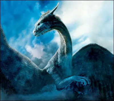 Comment Saphira voit-elle le monde ?