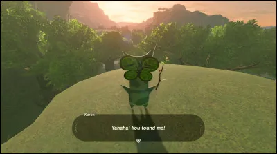 Combien de noix Korogu peuvent être récoltées dans le jeu ?