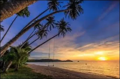 Quel pays préfères-tu ? (1/2)