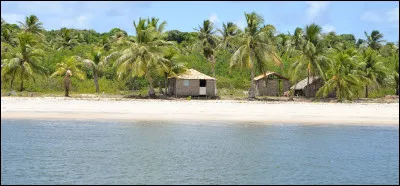 Quel défaut te dérange le moins ? (2/2)