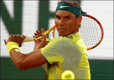 En quelle année Rafael Nadal fut-il déclaré tennisman professionnel ?